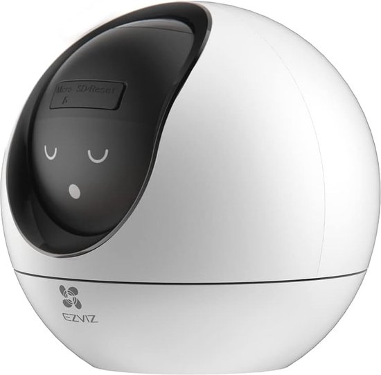 360° Indoor WiFi Bewakingscamera met Auto Zoom Tracking & Mens/Dier Detectie van $
