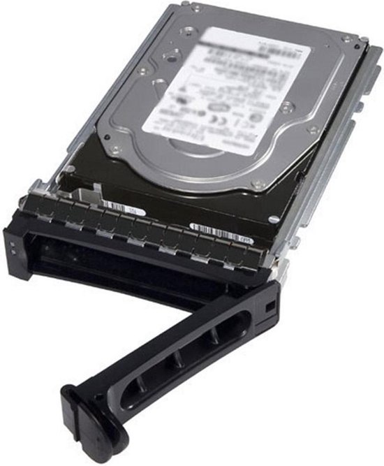 600GB 10K RPM SAS 12Gbps 2.5in Hot-plug van Dell