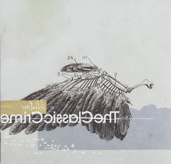 Albatross - Film Schijf - Film Kijken - Standaard Editie - 127 x 1461 x 114 cm - Niet gespecificeerd
