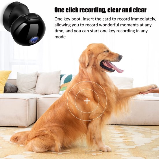 Allecto - Draadloze Wifi Camera - Oplaadbare Batterij - Beveiliging voor Buiten - Nachtzicht - HD Beveiligingscamera - Ideaal voor Thuis - Geschikt...