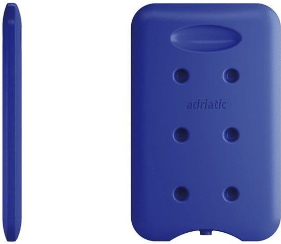 Basic Koelelement 1Kg Voor 24L Koelbox van Basi