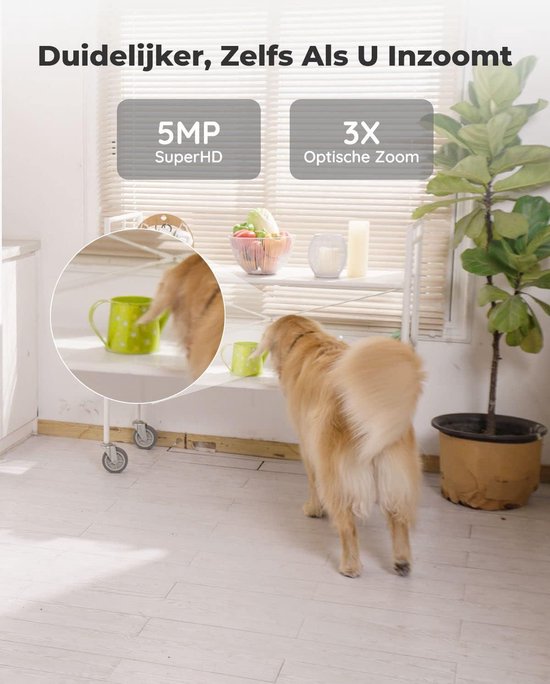 Beveiligingscamera 5MP PTZ Wifi Binnen 24/5 GHz WiFi CCTV Mens Huisdier Automatisch Volgen 3x Optische Zoom Oudere Huisdieren Tweerichtingsgeluid E1 Zoom van Eufy