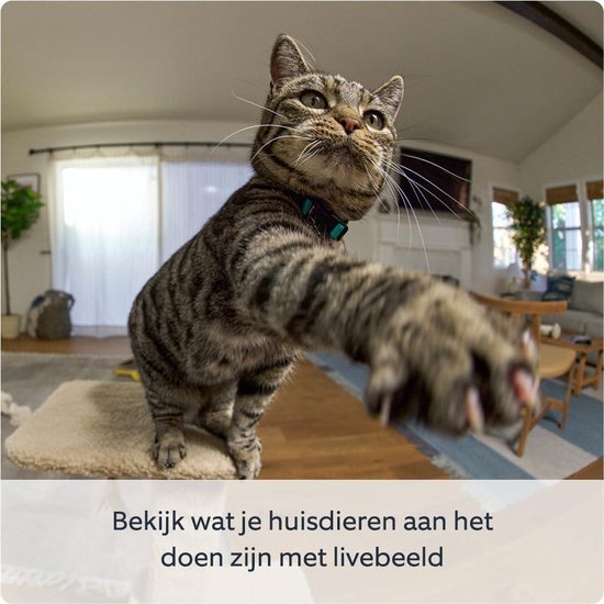 Beveiligingscamera Pan-Tilt Indoor Camera voor huisdieren - 360° draaibaar - 169° kantelbaar - Handmatig privacykapje van Techoneer