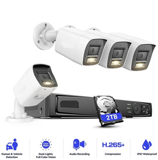 Beveiligingscamera's - Camerabewaking - CCTV Camerasysteem - 12MP Dual-Light Outdoor PoE - Kleur IR Nachtzicht CCTV Kit - Binnen/Buiten Camera’s - IP67 Weerbestendig - 2TB HDD Opslag van Merkloos