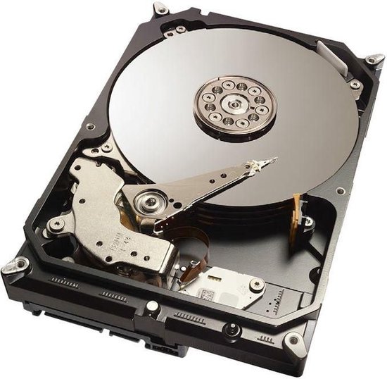 CoreParts SA300005I404 interne harde schijf 300 GB