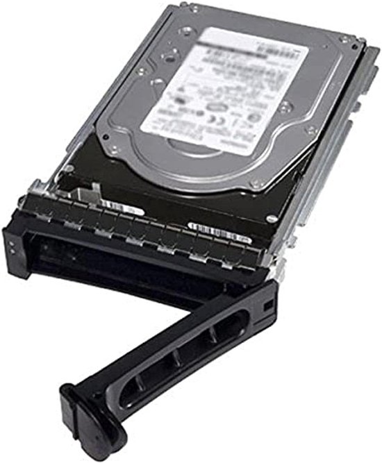 DELL 161-BBFN interne harde schijf 12 TB 7200 RPM 3.5" SAS