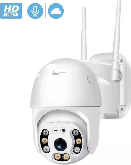Draadloze Dome IP beveiligingscamera - full HD 1080P - Bewegingsdetectie - met App van Technosmart