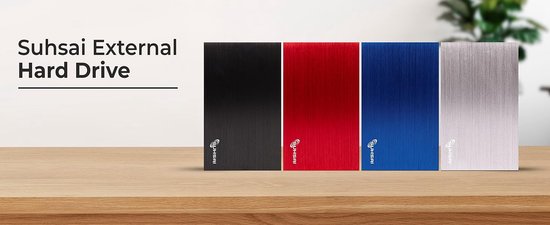 Draagbare Externe Harde Schijf 100GB - USB 2.0 - Snelheid, Veelzijdigheid & Betrouwbaarheid voor al uw Gegevens - Compatibel met MAC, PC, Laptop, en meer - Zilver van Merkloos