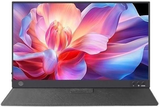 Draagbare Externe Monitor - Uitbreidingsscherm Laptop - Productief Werken - Full HD IPS Scherm - 161 inch - Zilver