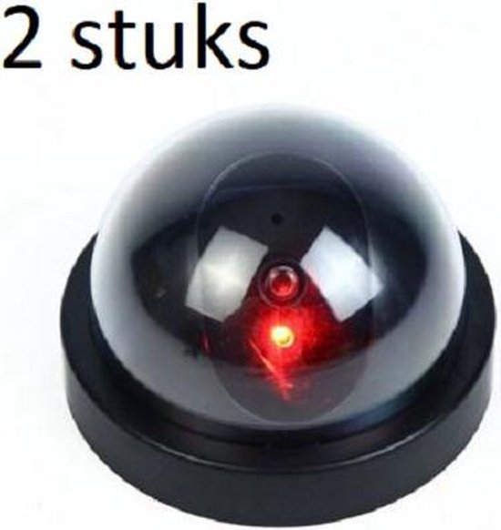 Dummy beveiligingscamera Dome 2x