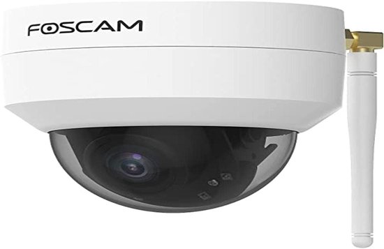 Foscam Bewakingscamera voor buiten, D4Z-W, wifi, PTZ, 4 MP, dual-band