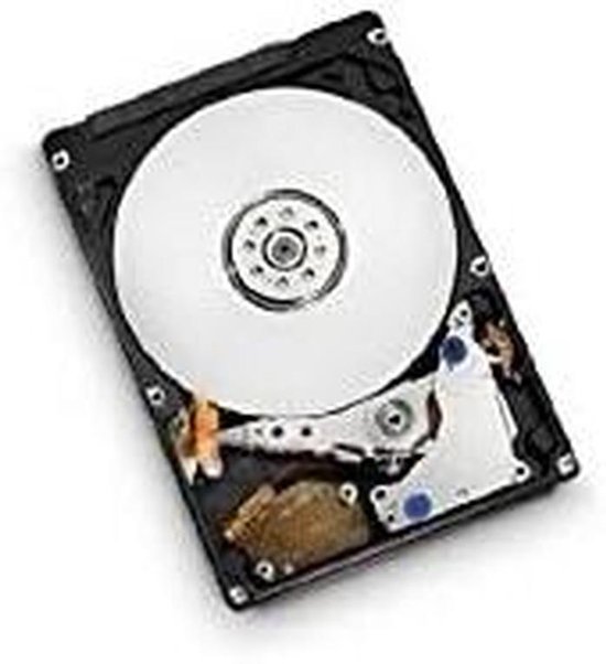 Hard Disk - Opslag Schijf - Data Opslag - SAS Interface - 1 TB - Zilver