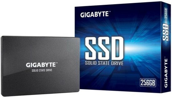 Hard Drive Gigabyte GP-GSTFS31256GTND 256 GB SSD van Gigabyte