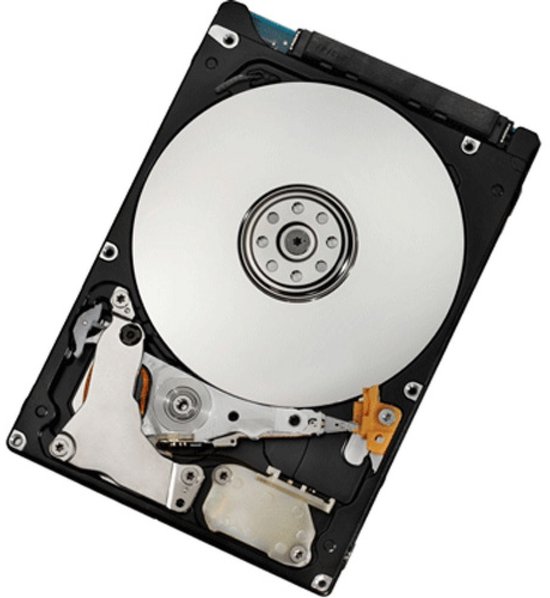IBM 43X0808 interne harde schijf 300 GB 15000 RPM 3.5" SAS