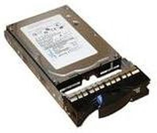 Interne Harde Schijf - HDD Opslag - Data Opslag - SAS Interface - 300 GB - Zilver