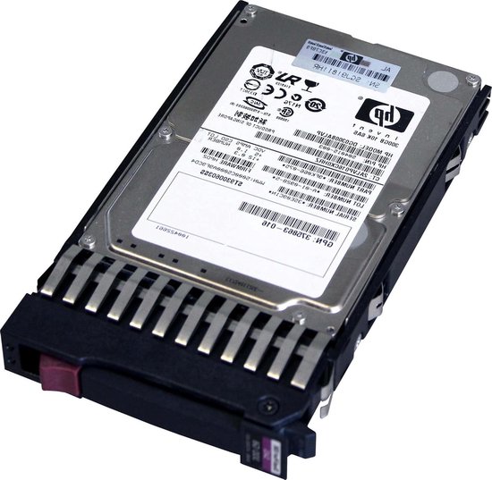 Interne Harde Schijf - HDD Opslag - Server Opslag - SAS Interface - 300 GB - Zilver