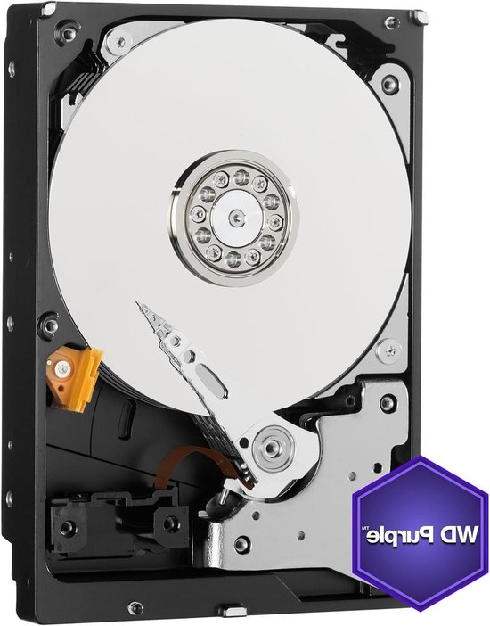 Interne Harde Schijf - Opslag HDD - Bewakingssystemen - Speciaal voor Continu Gebruik - 6 TB - Paars van Interne Harde Schijf