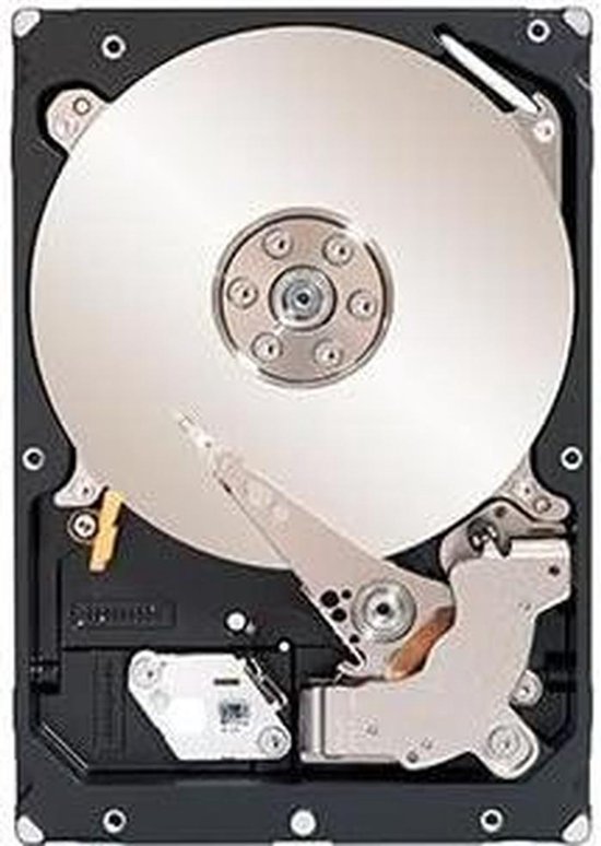 Interne Harde Schijf - Opslagstation - Data Opslag - SAS Interface - 1TB - Zilver