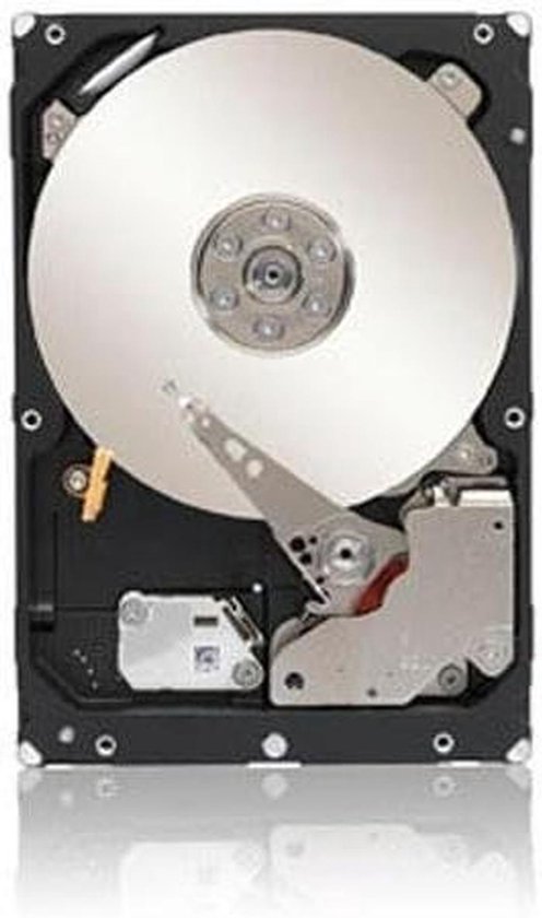 Interne Harde Schijf - Opslagstation Data - Opslag Uitbreiden - Snelle SAS Interface - 4 TB - Zilver