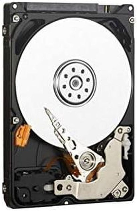 Interne Harde Schijf - Opslagstation - Gegevens Opslaan - Snelle SATA Interface - 320 GB - Zilver