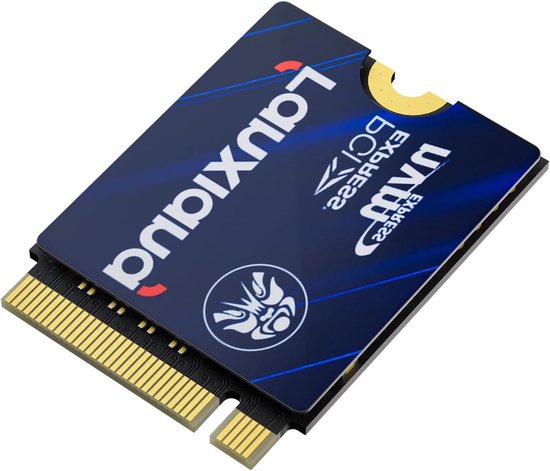 Interne SSD - Opslag M.2 - Computer Upgrade - PCIe x4 Interface - 500 GB - Zwart