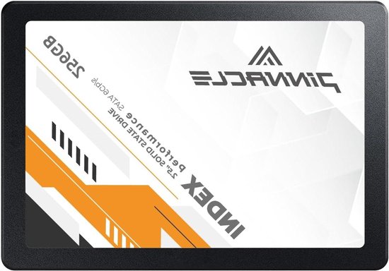 Interne SSD - Solid State Drive - Computer Opslag - 3D NAND QLC - 256 GB - Oranje