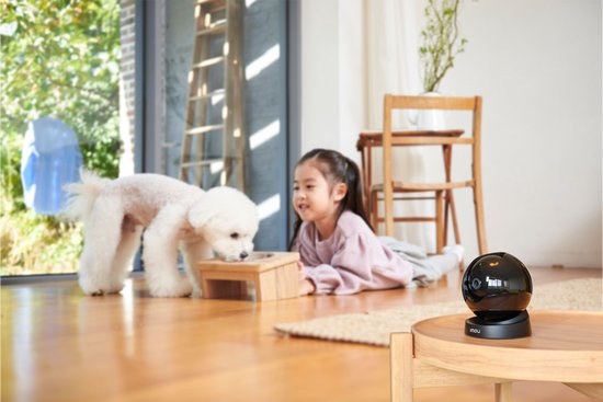 Rex 3D 2K van Euromex