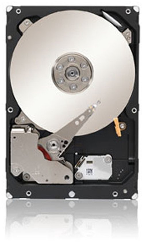 Seagate ST3000NM0023 - Interne harde schijf / 3TB / 3,5 inch SAS