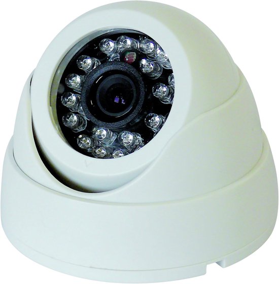 SnelShoppen - Tag/Nacht Dome-Kamera CCD Color - 6,35 mm IR-sensor, 24 LEDs, Draaibaar en Zwenkbaar, 420 TV-lijnen, Ideaal voor Beveiliging in Huis en