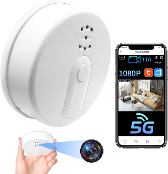 Verborgen WiFi Kamera Met Bewegingsdetectie en Nachtzicht van Alecto